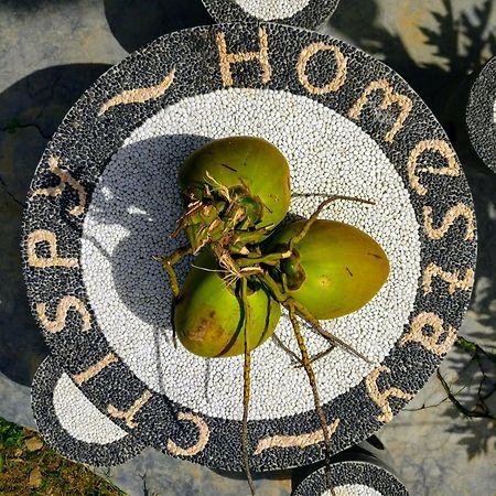 Crispycool Homestay Kuta  المظهر الخارجي الصورة